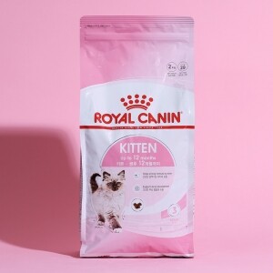 로얄캐닌 캣 키튼 2kg